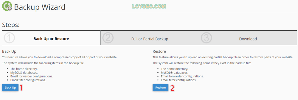 cpanel backup wizard 2 - FastComet主機:測評、購買注意事項、建站教程 cpanel backup wizard 2