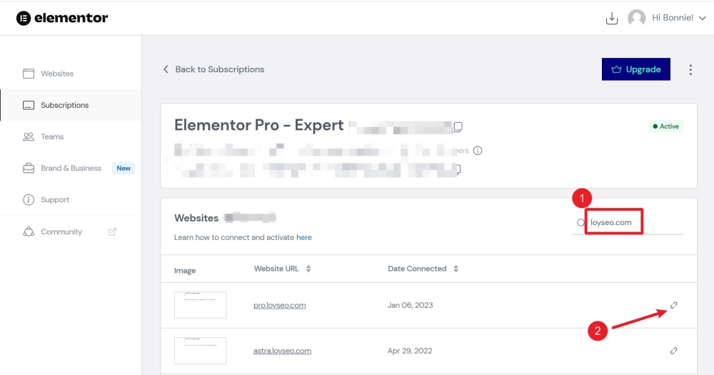 elementor por subscribe 2 - Elementor Pro的許可證密鑰可以更換綁定的功能變數名稱嗎? elementor por subscribe 2
