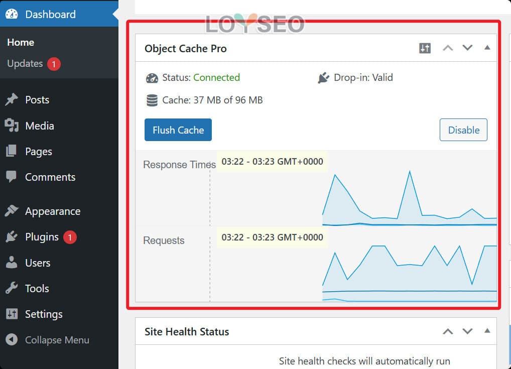 Cloudways主机教程（含3个月7折优惠码、赠建站教程或主题插件）