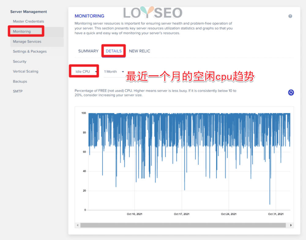 cloudways idle cpu - Cloudways主機教學(含3個月7折優惠碼、贈架設網站教學或主題外掛) cloudways idle cpu