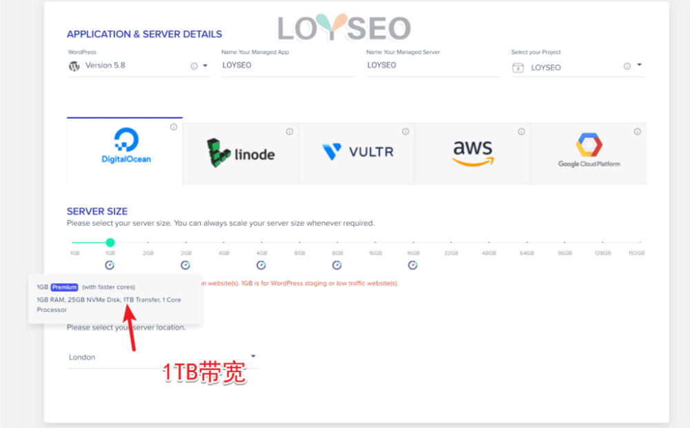 cloudways transfer - Cloudways主機教學(含3個月7折優惠碼、贈架設網站教學或主題外掛) cloudways transfer
