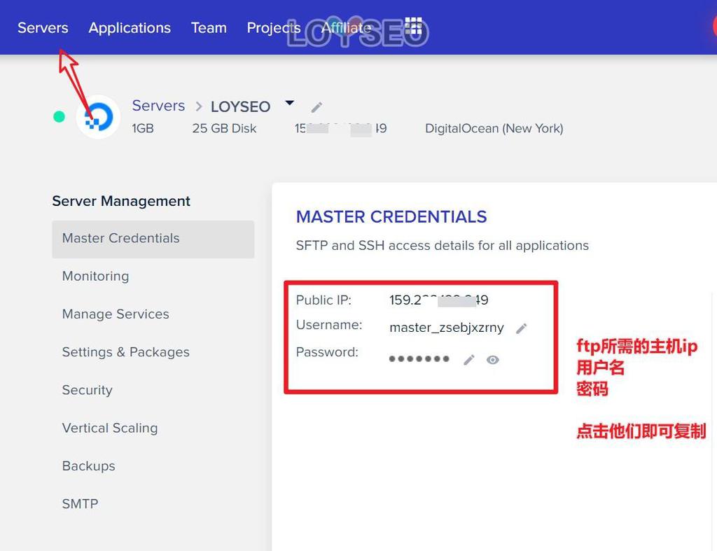 cloudways application master credentials