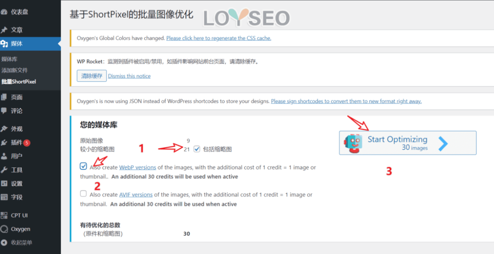 compress image shortpixel 4 - 如何用ShortPixel在WordPress網站中壓縮圖片 如何用ShortPixel在WordPress網站中壓縮圖片