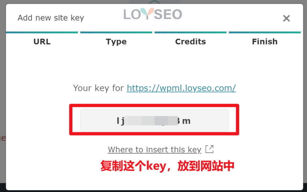 add wpml site key 1 - WPML教程,36分鐘入門:如何實現網站多語言以獲取更多客戶 add wpml site key