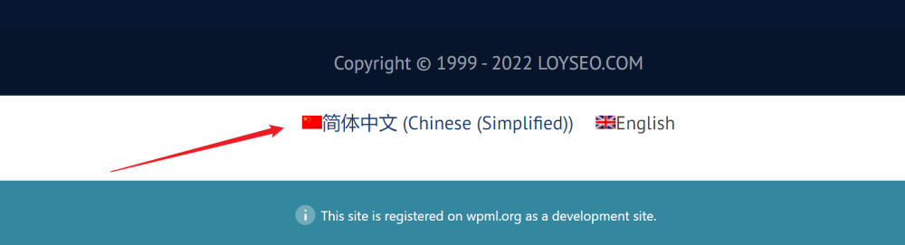 wpml site language switch - WPML教程,36分鐘入門:如何實現網站多語言以獲取更多客戶 wpml site language switch