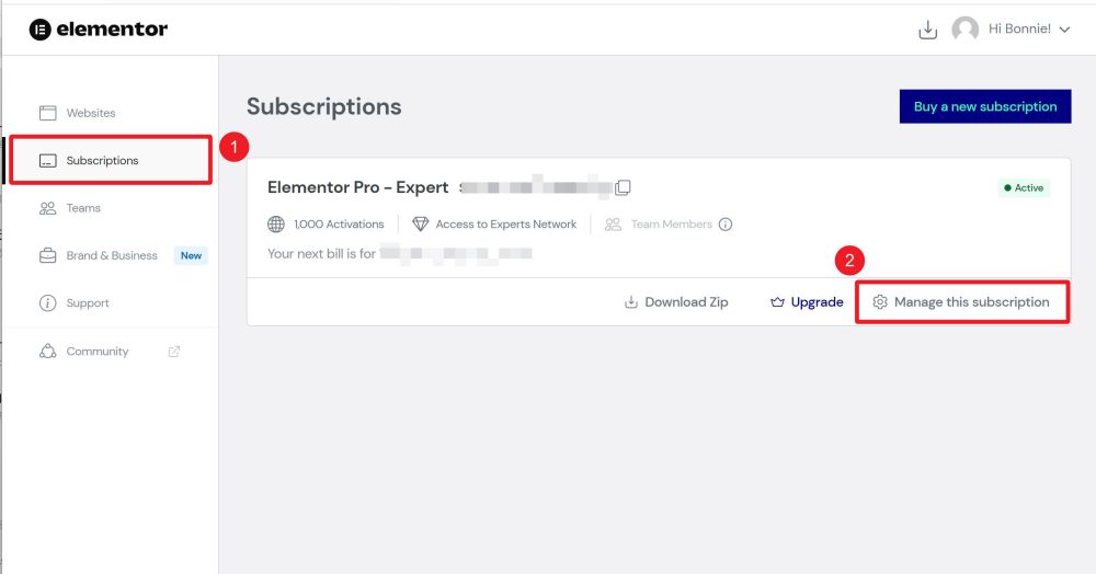 elementor por subscribe - Elementor Pro的許可證密鑰可以更換綁定的功能變數名稱嗎? elementor por subscribe