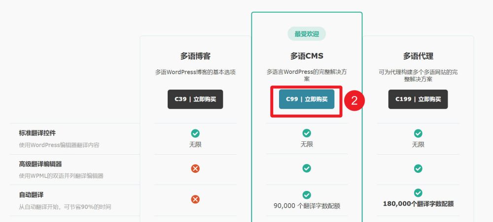 wpml price 3 - WPML教程,36分钟入门:如何实现网站多语言以获取更多客户 WPML教程,36分钟入门:如何实现网站多语言以获取更多客户